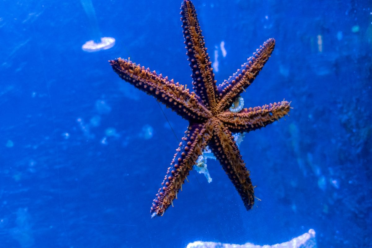Key West Aquarium - Gallery Image 1